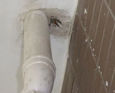 葫芦岛漏水检测哪家好